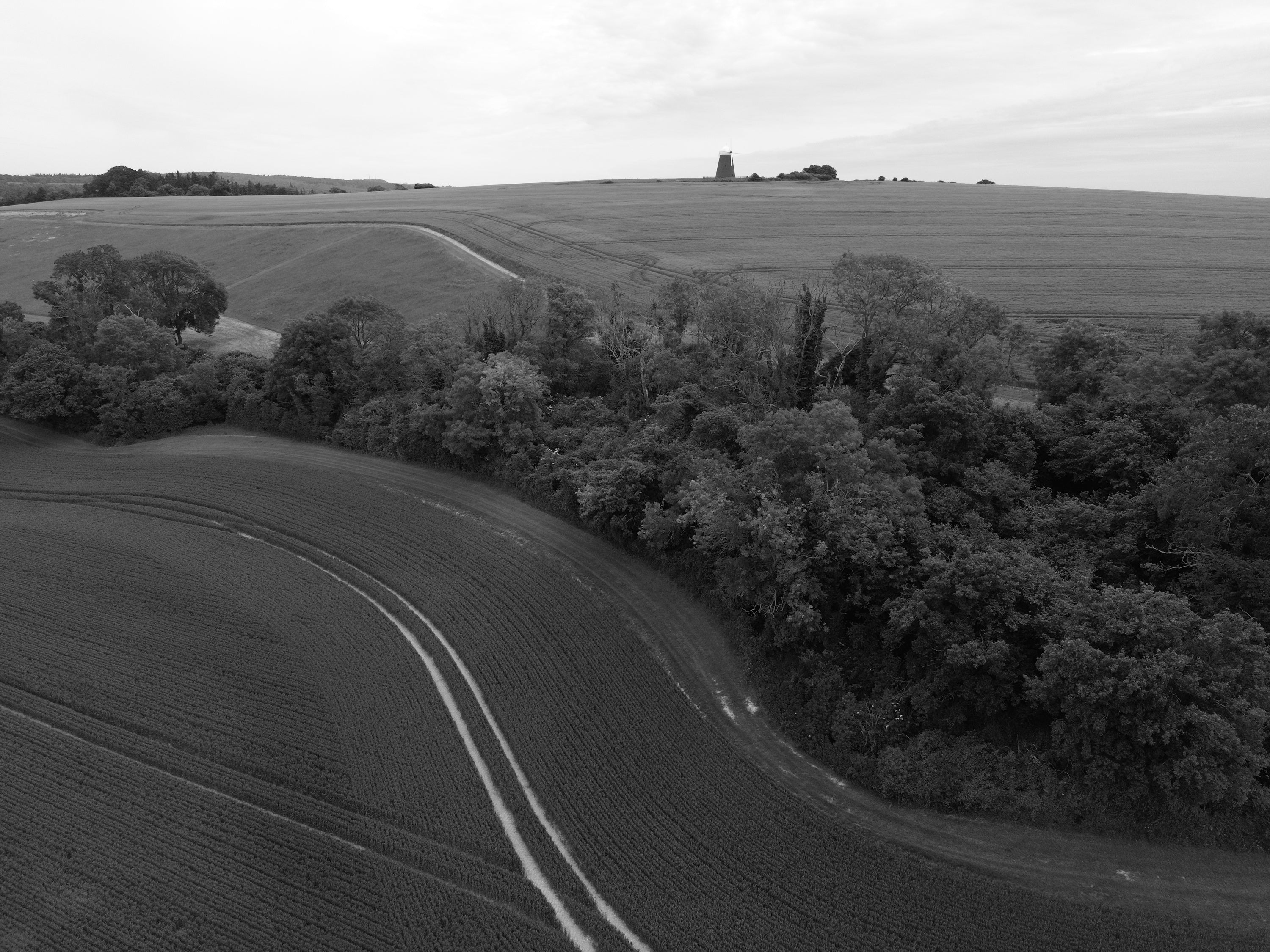 Employee-owned partnership